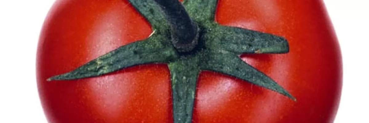 Pomodori alla Calabrese