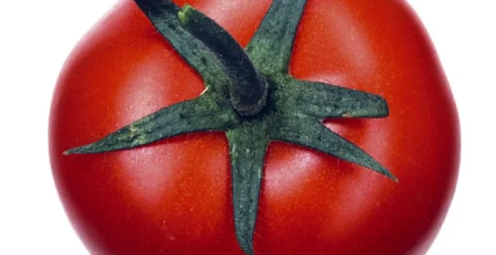 Pomodori alla Calabrese Pomodori alla Calabrese